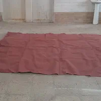 موکت|موکت|محمدیه-قزوین, |دیوار