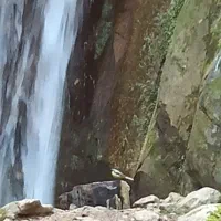 راهنمای گردشگری گیلان تجربه بی‌نظیر