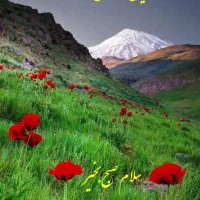 نیازمند فروشنده