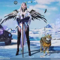 پابجی|کنسول، بازی ویدئویی و آنلاین|شوش, |دیوار