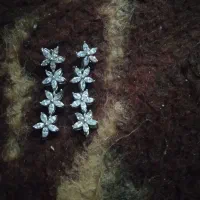 گوشواره نقره|جواهرات|تبریز, |دیوار