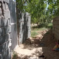 فروش باغ در شمس آباد بیرجند