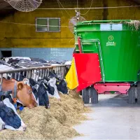 نیازمند کارگر گاوداری