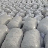 تفاله چغندر