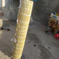 چیتو له پنجره ای