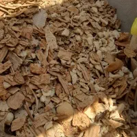 نان خشک دامی|لوازم جانبی حیوانات|رضویه, |دیوار