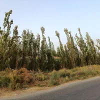 در نزدیک ترین نقطه به شهر باغ|فروش دفتر صنعتی، کشاورزی، تجاری|میاندوآب, |دیوار