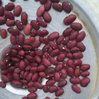 لوبیا سفید لوبیا قرمز تازه امسالی