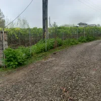 باغ کیوی سند تک برگ|فروش زمین و ملک کلنگی|تالش, هشتپر|دیوار