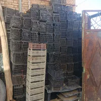سبد|ظروف نگهدارنده، پلاستیکی، یک‌بارمصرف|تویسرکان, |دیوار