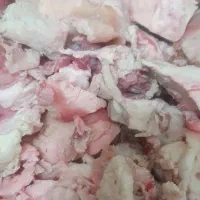 دنبه تازه