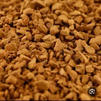 قهوه اکوادور اصل نرخ شکن برادران رنجبر