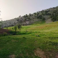 زمین نرگاه  معاوضه با خودرو
