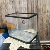 اکواریوم|ماهیگیری|ارومیه, |دیوار