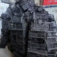 خریدار سبد میوه بالاترین قیمت