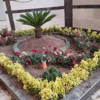 خدمات باغبانی هرس کود تعویض خاک گلدان همه نقاط|خدمات باغبانی و درختکاری|تهران, امام زاده قاسم (نیاوران)|دیوار