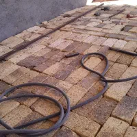 فروش سه غاز جوان ردیف