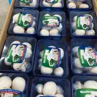 قارچ دکمه ای|خوردنی و آشامیدنی|فردیس, فردیس|دیوار