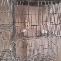 قفس پرنده و حیوان