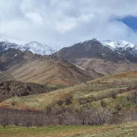 فروش زمینهای کشاورزی و باغ|فروش دفتر صنعتی، کشاورزی، تجاری|بروجرد, |دیوار