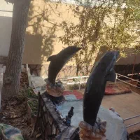 کلبه سنتی بوژان|اجارهٔ کوتاهمدت ویلا و باغ|نیشابور, فضل|دیوار