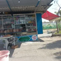 استخدام نیروی کار