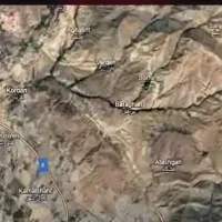 باغ انگور
