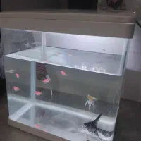 اکواریوم شیشه خم درب دار و ال ای دی دار