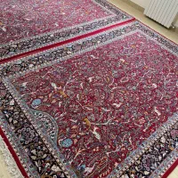 دو عدد فرش ۶ متری|فرش|رشت, منظریه|دیوار