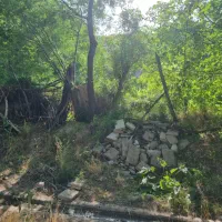 فروش باغ در روستای مزلقان|فروش زمین و ملک کلنگی|نوبران, |دیوار