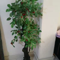 درختچه گیلاس مصنوعی