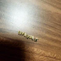 دستبند طلا گمشده