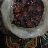 خرما مرداسنگ