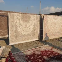 قالیشویی داریوش اصل در بهارستان۵۶۹۱۰۵۱۷