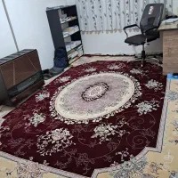 دو فرش قرمز|فرش|بوکان, |دیوار