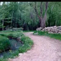 4هزار-متر-زمین-اول-روستای-ونایی