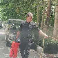 سمپاشی ممتاز سرویس سراسر تهران