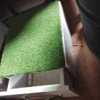 کشوی سالم|جاکفشی، کمد، دراور|سبزوار, قلعه‌نو دهزار|دیوار