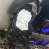 کالسکه مدل دلیجان