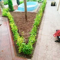 خدمات باغبانی تمام نقاط تهران گل کاری هرس خاکگلدان|خدمات باغبانی و درختکاری|تهران, نیروی هوایی (پیروزی)|دیوار