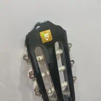گیتار سالم