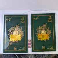 سکه پارسیان ۵۰ سوت
