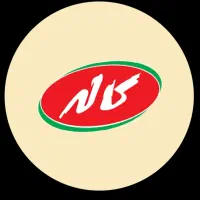 ویزیتوری حضوری