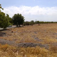 فروش زمین کشاورزی در دریان|فروش دفتر صنعتی، کشاورزی، تجاری|شبستر, |دیوار