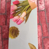 دستمال و سفره|مواد شوینده و دستمال کاغذی|بهبهان, |دیوار