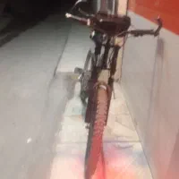 دوچرخه ۲۴ ویوا