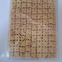 به چندنفر نیروی خانم نیازمندیم