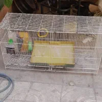 قفس حیوانات