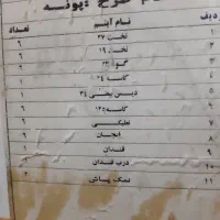 اکروپال ۴۲پارچه ویکتوریا