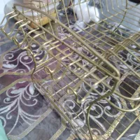 ابچکان طلایی سالم سالم